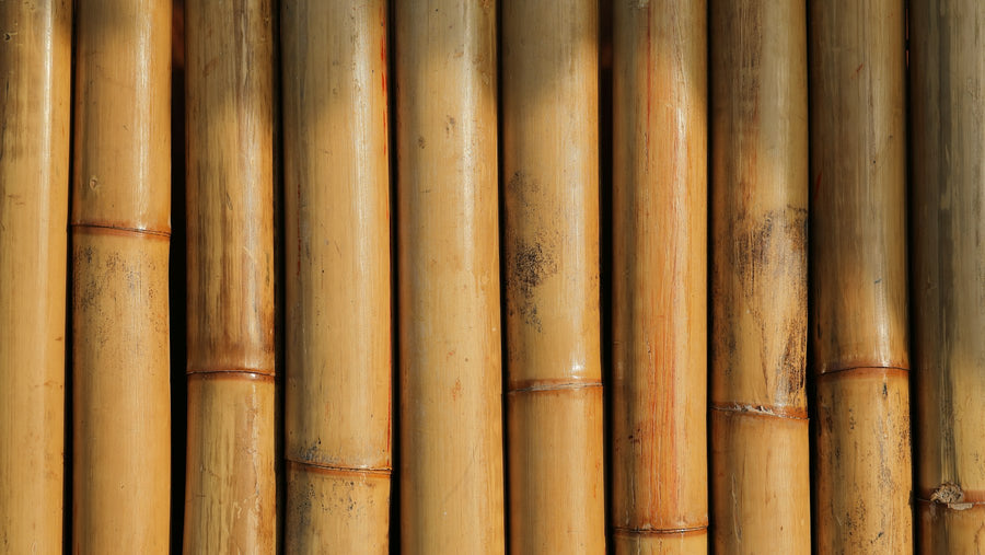 Close-up van bamboestengels