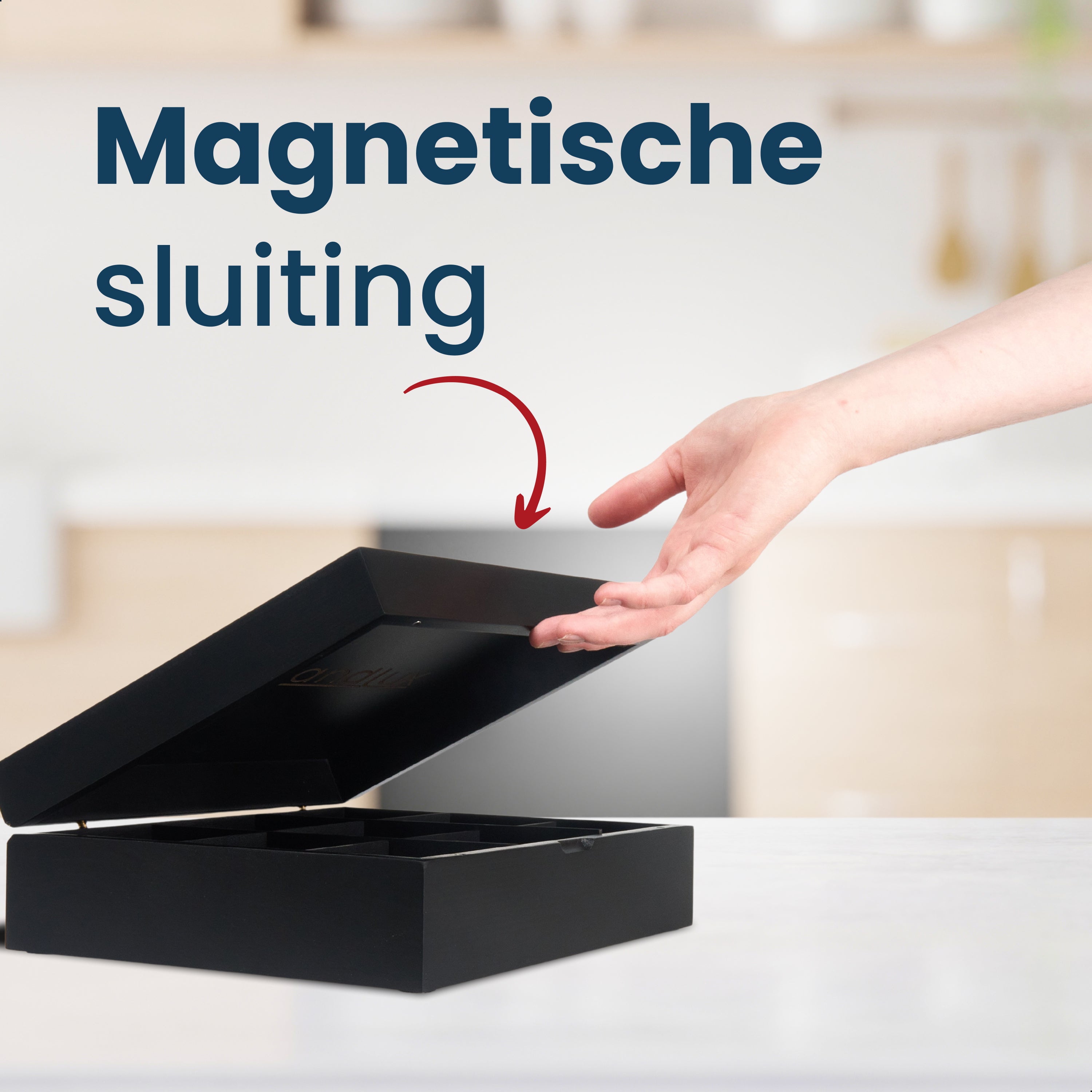 Grandlux Theedoos 9 Vaks - Magneetsluiting - Ruime Vakken voor Pickwick, Pukka, Twinings, Clipper - Theekist - Zwart