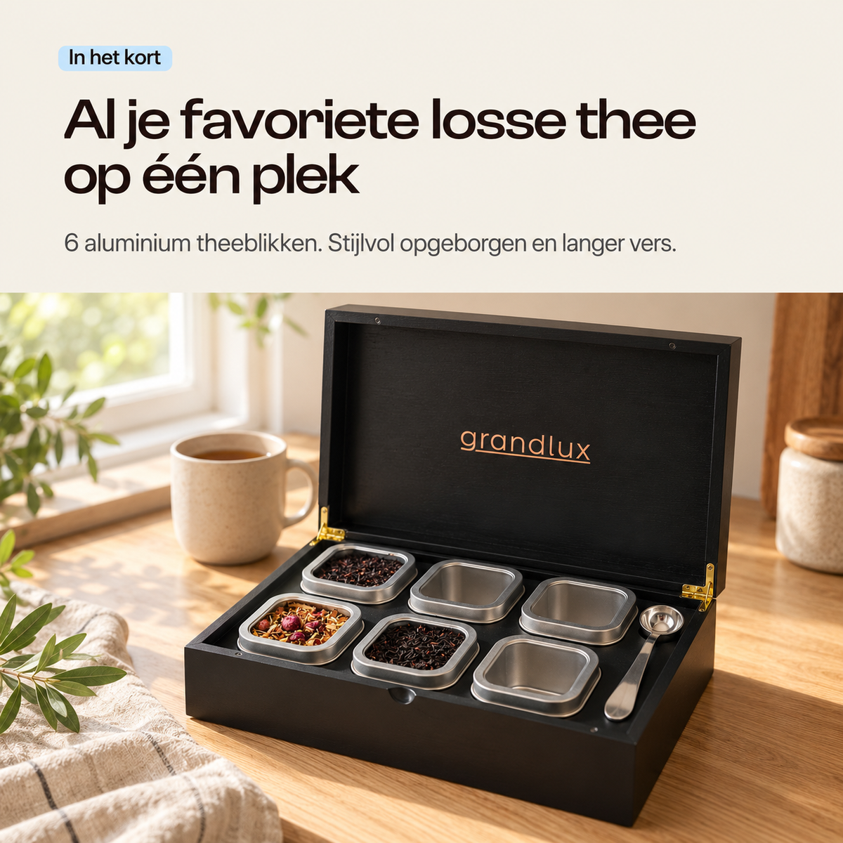 Grandlux Theedoos 6 vaks voor Losse Thee - Zwart